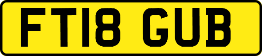 FT18GUB