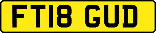 FT18GUD