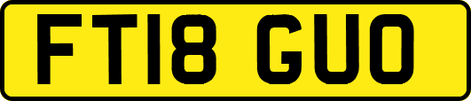 FT18GUO