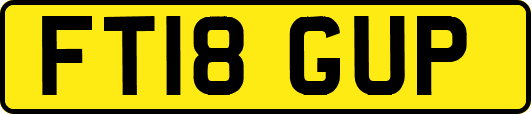 FT18GUP