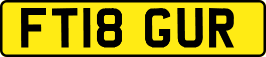 FT18GUR
