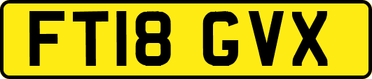 FT18GVX