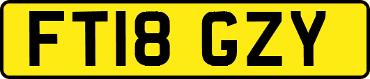 FT18GZY