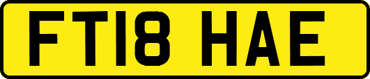 FT18HAE