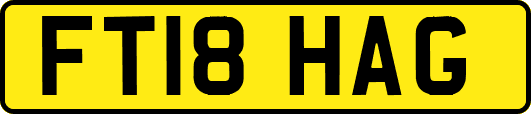 FT18HAG