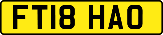FT18HAO