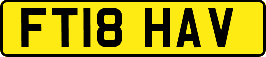 FT18HAV