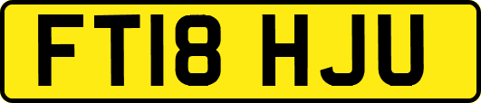 FT18HJU