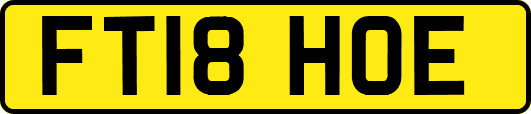 FT18HOE