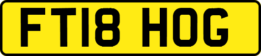 FT18HOG