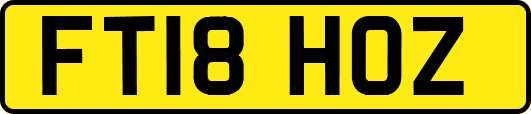FT18HOZ