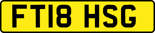 FT18HSG