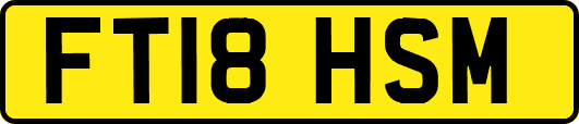 FT18HSM