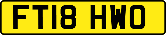 FT18HWO