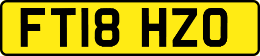 FT18HZO