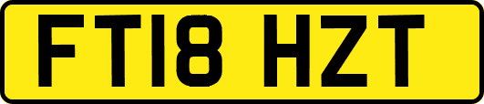 FT18HZT
