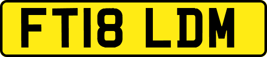 FT18LDM