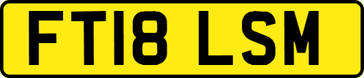 FT18LSM
