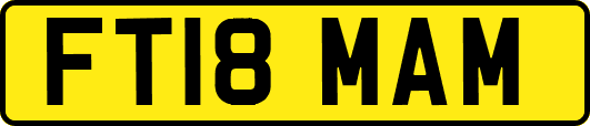 FT18MAM