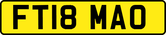 FT18MAO