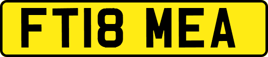 FT18MEA