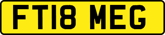 FT18MEG