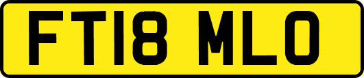 FT18MLO