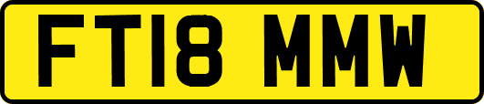 FT18MMW