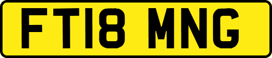 FT18MNG