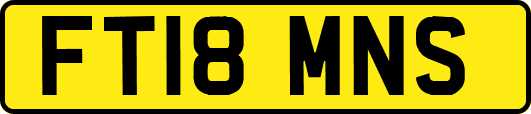 FT18MNS