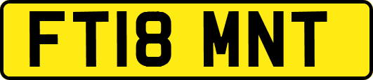FT18MNT