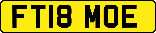 FT18MOE