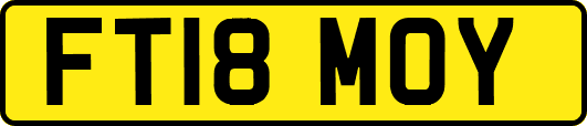 FT18MOY