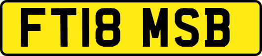 FT18MSB