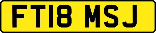 FT18MSJ