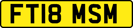 FT18MSM