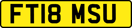 FT18MSU