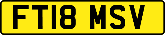FT18MSV