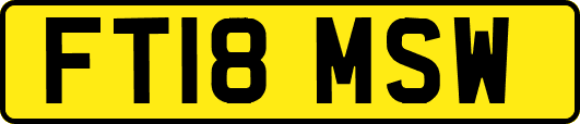 FT18MSW