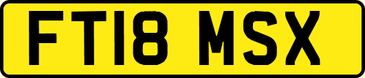 FT18MSX