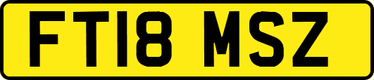 FT18MSZ