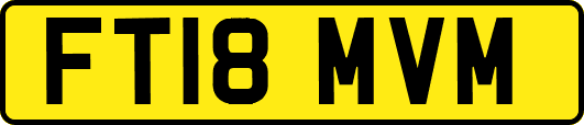 FT18MVM