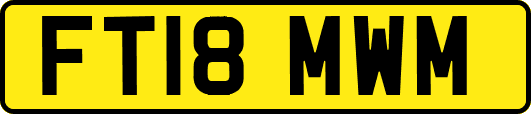 FT18MWM
