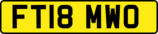 FT18MWO
