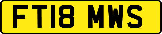 FT18MWS