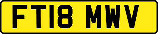 FT18MWV