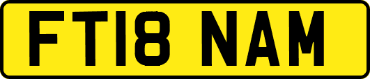 FT18NAM