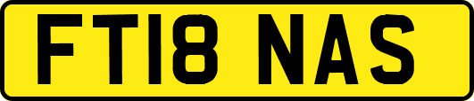 FT18NAS
