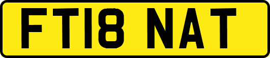 FT18NAT