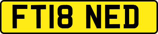 FT18NED